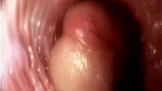 Sex guide See a Penis inside the Vagina porn video